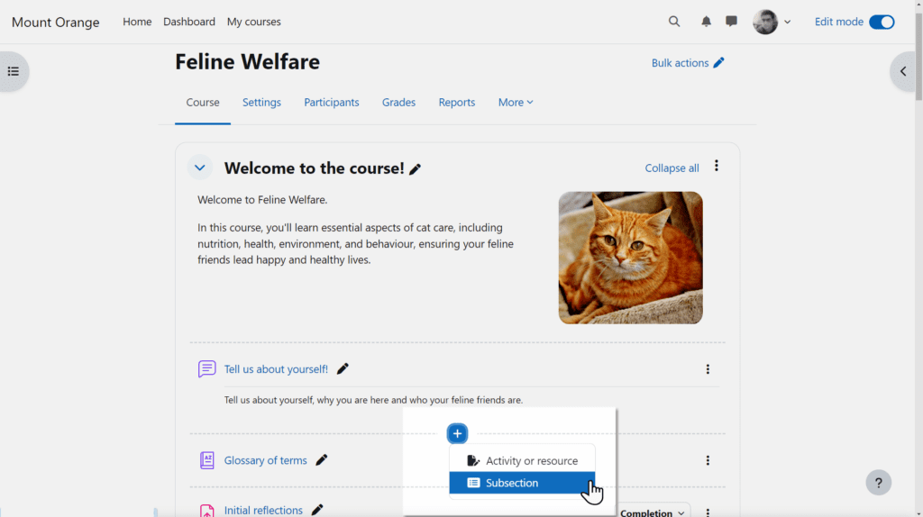 unnamed-1-1-1024x574